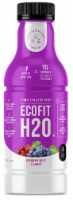 Ecofit H20™ Kiwi Strawberry Enhanced Water Perspective: Main