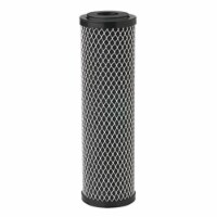 CFBC-10 1/2-MICRON 10'BLK
