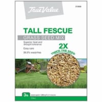 Barenbrug USA 212658 TV 3LB Tall Fescue Seed, TV 3 lbs Tall Fescue Seed