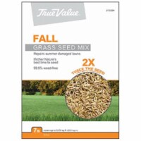 Barenbrug USA 213294 TV 7LB Fall Grass Seed, TV 7 lbs Fall Grass Seed