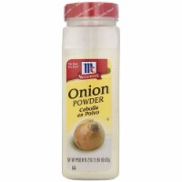 MCCORMICK ONION POWDER 6 / 22 OZ Perspective: Main