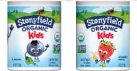 Stonyfield Organic® Kids Strawberry Vanilla & Blueberry Lowfat Yogurt