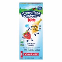 Stonyfield Organic® Kids Strawberry Banana Whole Milk Yogurt Tubes