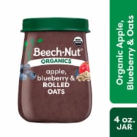 Beech-Nut® Organics Stage 3 Apple Blueberry Oatmeal Baby Food,