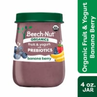 Beech-Nut Organics Stage 2 Banana Berry & Yogurt with Prebiotics Baby Food Jar Perspective: Main