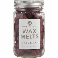 Cranberry Scented 310693 8 oz Simmering Fragrance Chips for Unisex - Jar Containing 100 Melts