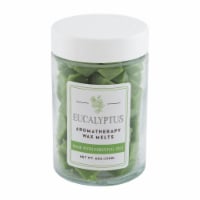 Northern Lights Candles Wax Melt Jar - Eucalyptus Perspective: Main