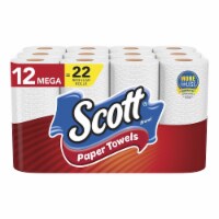 Scott Paper Towels Choose-A-Sheet - Mega Rolls Perspective: Main