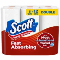 Scott® Paper Towel Double Rolls Perspective: Main