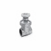 Spears Gate Valve,1 In.,FNPT,PVC  2011-010