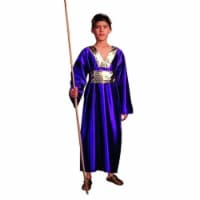 RG Costumes 90181-M Wiseman Costume - Purple - Size Child Medium 8-10