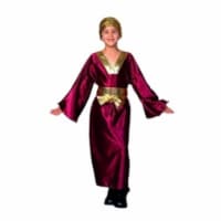 RG Costumes 90183-M Wiseman Costume - Wine - Size Child Medium 8-10