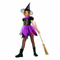RG Costumes 91415-S Witch Of Fairyland Costume - Size Child Small 4-6