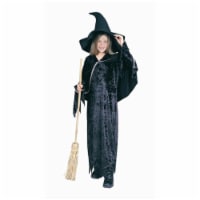 RG Costumes 91186-M Moonlight Witch Costume - Size Child-Medium