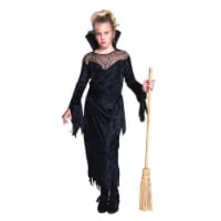 RG Costumes 91243-M Enchanting Witch Costume - Size Child-Medium