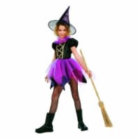 RG Costumes 91415-M Witch Of Fairyland Costume - Size Child Medium 8-10