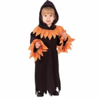 RG Costumes 70061-T Fairytale Witch- Toddler