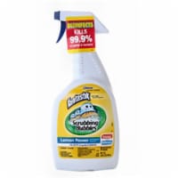 Johnson Wax 32 Oz Lemon Power Fantastik Antibacterial All Purpose Cleaner Spra