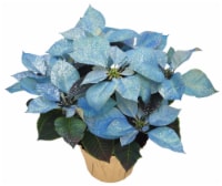 Painted with Glitter Poinsettia Potted Plant Perspective: Main
