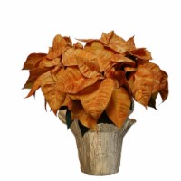 Potted Poinsettia - Autumn Beauty Perspective: Main