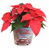 Poinsettia Vintage Merry Christmas Truck Planter Perspective: Main