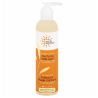 Earth Science Clarifying Facial Wash