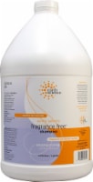 Earth Science Fragrance Free Shampoo
