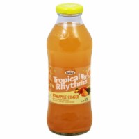Grace® Tropical Rhythms Pineapple Ginger Juice Drink Perspective: Main