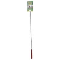 Coghlan's Camp Fork