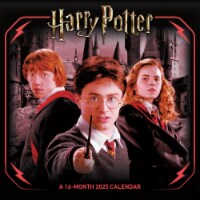 Trends 2025 Harry Potter™ Wall Calendar Perspective: Main