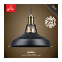 Robin 1-Light Plug-In or Hardwire Pendant - Satin Black With Antique Brass Accents Perspective: Main