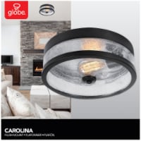 Carolina Seeded 1-Light Flush Mount Perspective: Main
