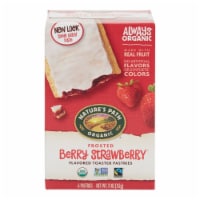 Nature's Path Organic Berry Strawberry Frosted Toaster Pastries