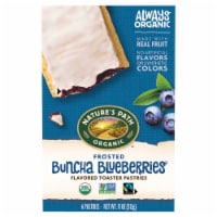 Nature's Path Organic Frosted Buncha Blueberries Toaster Pastries