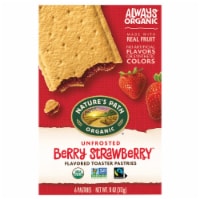 Nature's Path Organic Unfrosted Berry Strawberry Toaster Pastries