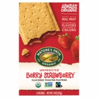 Nature's Path Organic Unfrosted Berry Strawberry Toaster Pastries