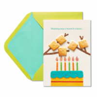 Papyrus (S19) S'more Birthday Card Perspective: Main