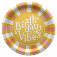 American Greetings Birthday Paper Plates- Birthday Vibes Perspective: Main