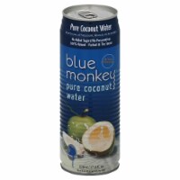 Blue Monkey Coconut Water No Pulp Perspective: Main