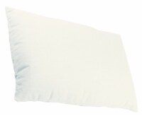 Buckwheat Pillow