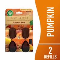 Air Wick Essential Mist Refill, Holiday Plug In, Fall Air Freshener, Pumpkin Spice, 2 Refills Perspective: Main