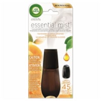 Air Wick® Essential Mist™ Mandarin and Sweet Orange Refill Perspective: Main