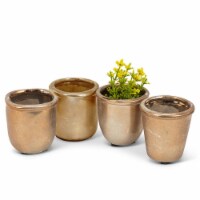 Abbott Collections AB-27-GRYPHON-GOLD 3 in. Assorted Shapes Gold Cacti Or Succulents Planters