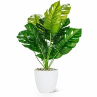 Abbott Collection AB-27-BOTANY-049-02 16 in. Monsterra Leaf Plant, Green - Large