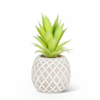 Abbott Collection AB-27-BOTANY-048-01 7 in. Succulent in Pineapple Planter, Green & Grey
