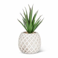 Abbott Collection AB-27-BOTANY-048-02 8 in. Succulent in Pineapple Planter, Dark Green & Grey