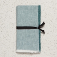 Danica Heirloom Chambray Cotton Napkins - Lagoon Green 18 x 18 inches Set of 4