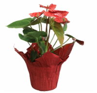 Anthurium Premium Florals Perspective: Main