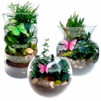 Glass Terrarium Garden Perspective: Main