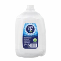 Pure Life Purified Water Plastic Jug Bottled Water Perspective: Main